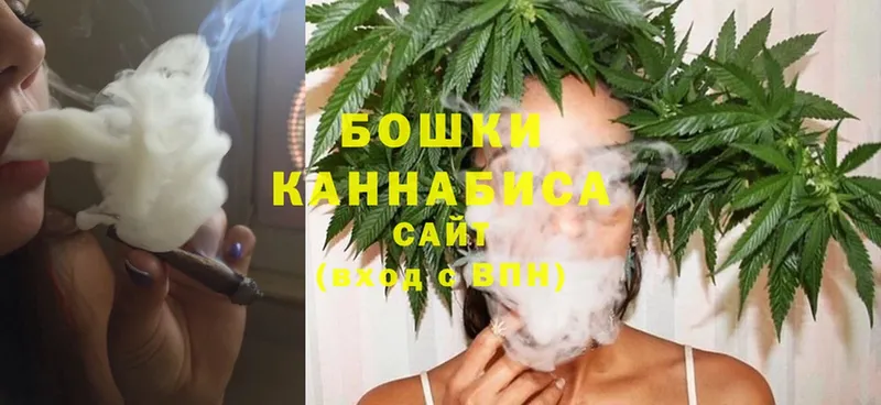 Бошки Шишки THC 21%  цена   Высоковск 